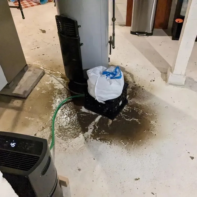 Sewage Backup Cleanup Service in Monroe, UT
